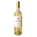 Vino Blanco INTIPALKA Sauvignon Blanc Botella 750ml